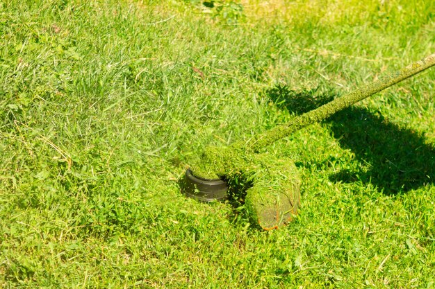 Il decespugliatore a benzina falcia l'erba verde Fotografia con movimento