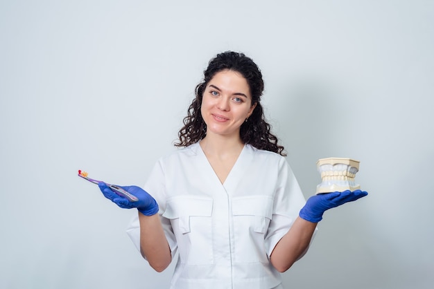 Il dentista della ragazza tiene un modello volumetrico dei denti e uno spazzolino da denti