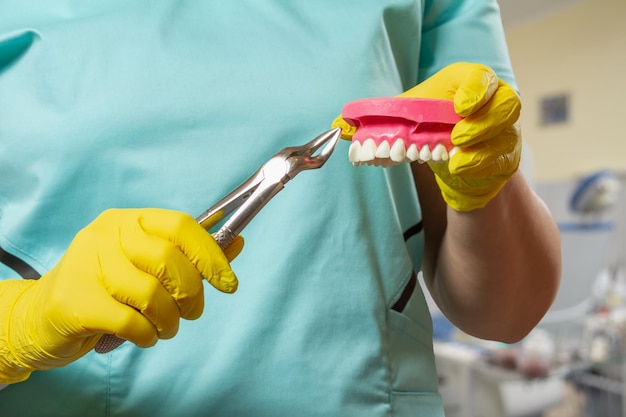 Il dentista ha estratto il dente malato dalla disposizione della mascella umana