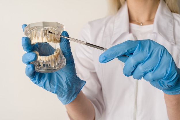 Il dentista mostra problemi con i denti sull'esempio della disposizione della mascella