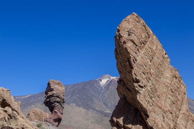 Il dito di Dio, l'albero e il monte Teide