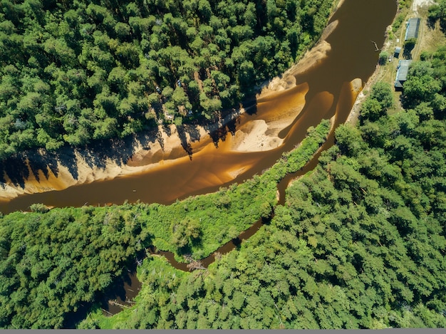 Il drone aereo osserva l'ansa del fiume con tratti sabbiosi di foresta profonda in una giornata di sole