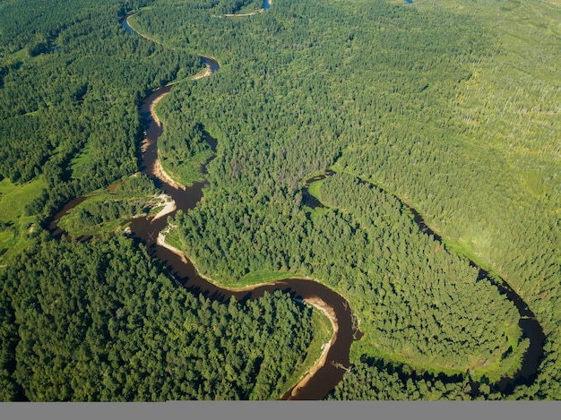 Il drone aereo osserva l'ansa del fiume con tratti sabbiosi di foresta profonda in una giornata di sole