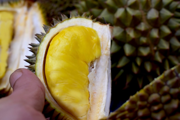 Il durian è un frutto dolce delizioso e costoso