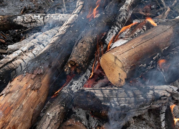 Il falò brucia nella foresta