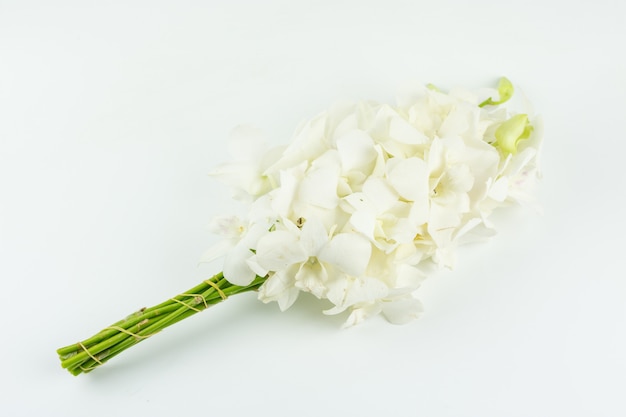 Il fiore bianco dell'orchidea del mazzo per prega il rispetto a Buddha isolato su fondo bianco