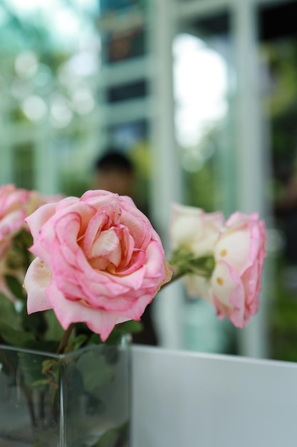 Il fiore di rose rosa naturale in vaso si trova sul tavolo in un caffè per lo sfondo