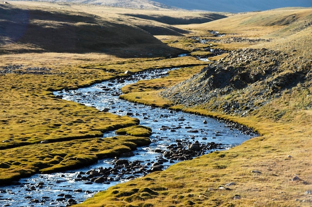 Il fiume blu scintillante soffia attraverso la steppe verde Kharkhiraa Altai mongolo vicino a Ulaangom Uvs