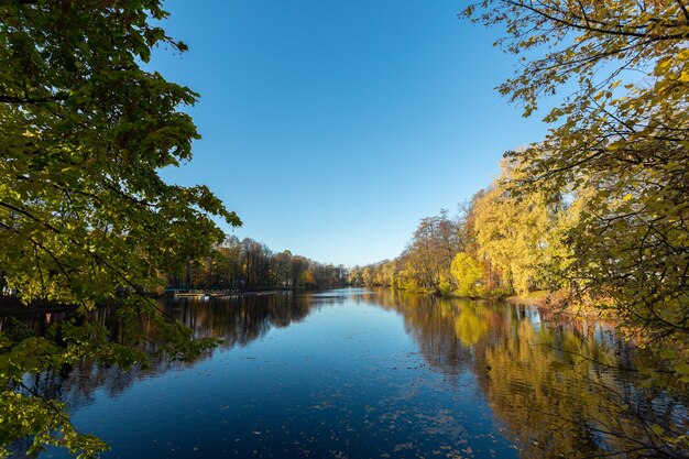 Il fiume calmo che scorre attraverso il parco in autunno sull'isola di Elagin, San Pietroburgo, Russia.