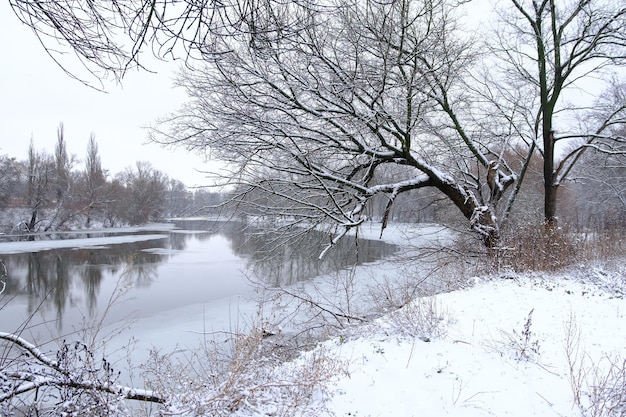 Il fiume con la neve e una foresta vicino coperta di neve in inverno