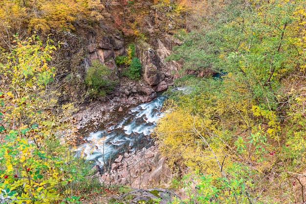 Il fiume con rapide scorre lungo il fondo della gola