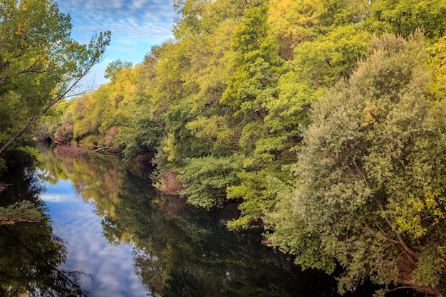 Il fiume con una corrente tranquilla