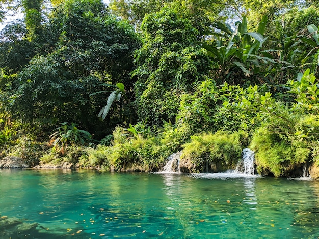 il fiume delle sorgenti in mezzo alla foresta