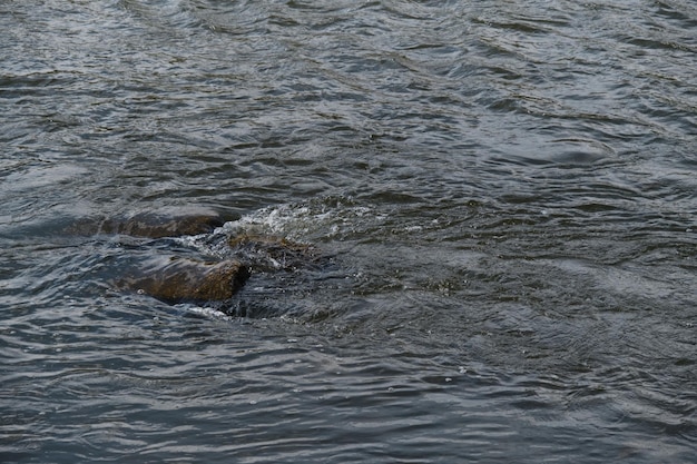 Il fiume di montagna infuria si precipita nel torrente sulla pietra e gli schizzi volano in diverse direzioni L'acqua di sfondo naturale minimalista nello stagno in primo piano rotola sulla pietra e demolisce tutto sul percorso