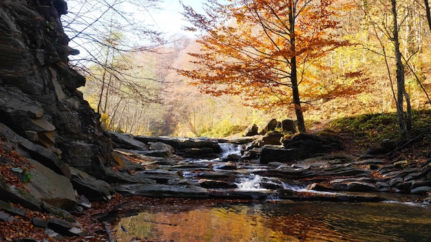 Il fiume di montagna nella foresta autunnale in un'incredibile giornata di sole