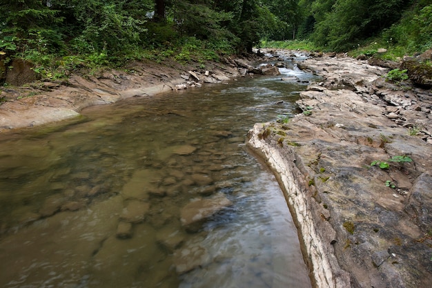 Il fiume di montagna scorre attraverso la foresta. Bellissimo paesaggio dei Carpazi con acqua cristallina in un fiume di montagna.