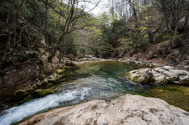 Il fiume di montagna sfocia in un lago forestale tra alberi e grandi pietre. Fitta foresta verde. Natura meravigliosa.