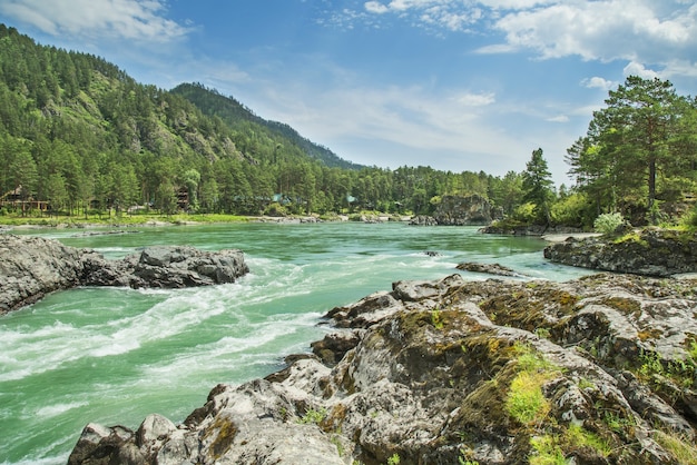 Il fiume Katun nelle montagne Altai in una giornata estiva