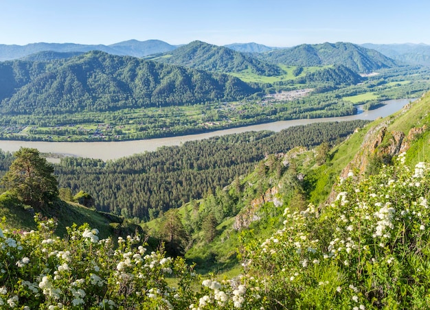 Il fiume Katun scorre nelle montagne dell'Altai, il paesaggio soleggiato estivo