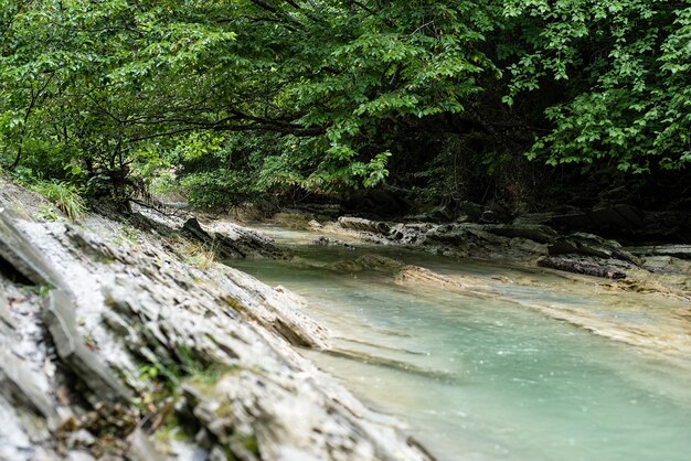 Il fiume limpido con rocce conduce verso le montagne illuminate dal tramonto