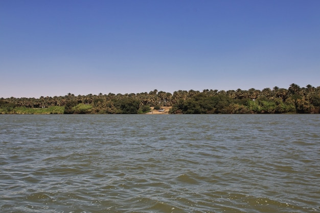 Il fiume Nilo vicino all'isola di Sai, Sudan