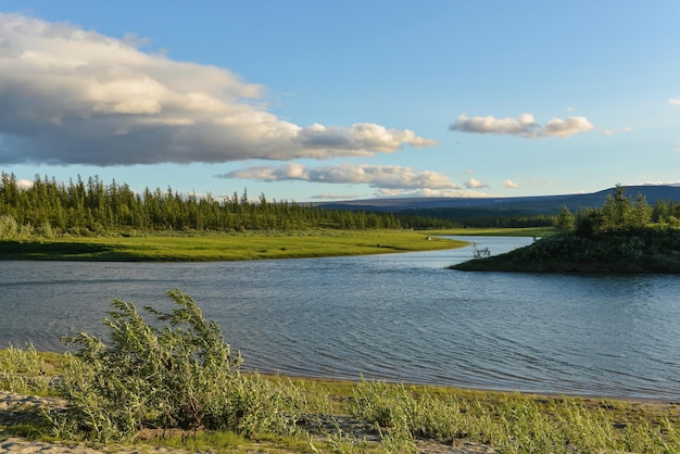 Il fiume Pike sulla penisola di Yamal