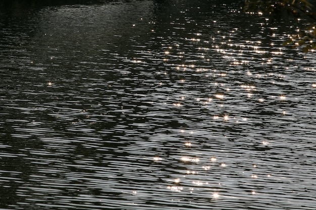 Il fiume risplendeva di luce solare.