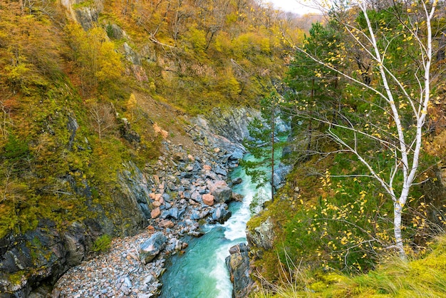 Il fiume scorre lungo il fondo di una gola di montagna