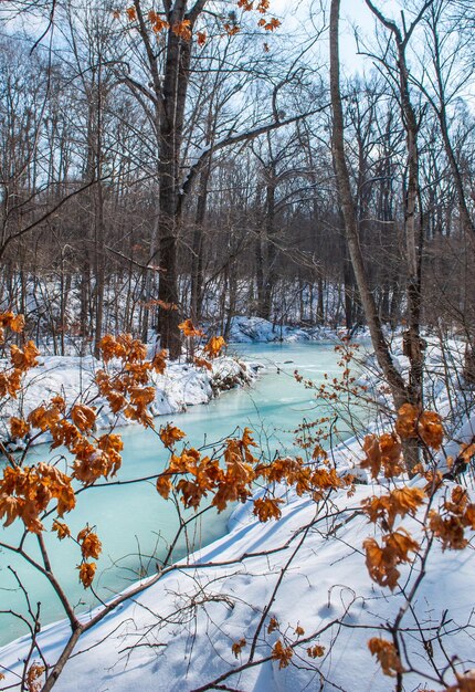 Il fiume si sta sciogliendo Primavera nella foresta