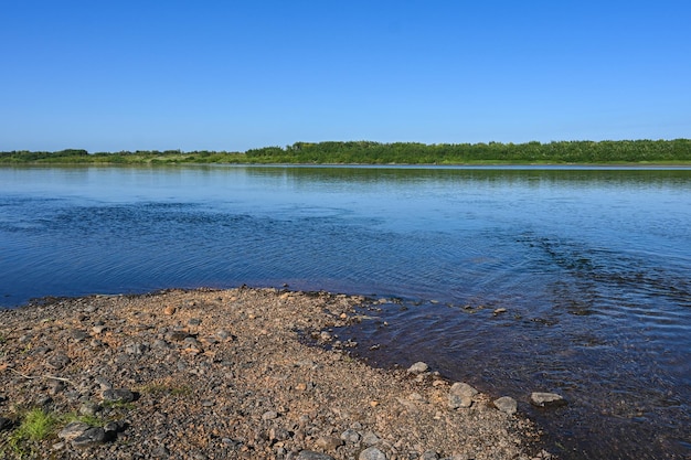 Il fiume taiga degli Urali polari