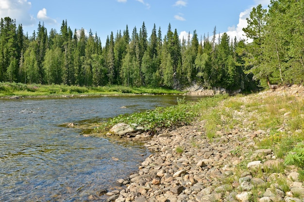 Il fiume Taiga negli Urali settentrionali