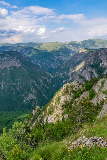 Il fiume Tara scorre alla profondità del canyon tra le montagne.