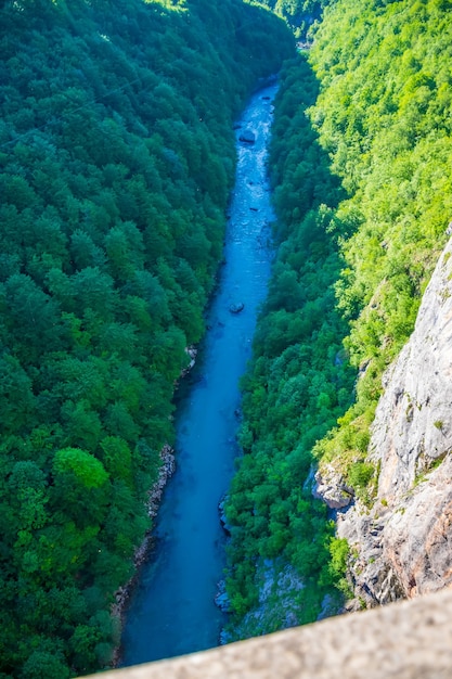 Il fiume veloce Tara scorre sul fondo del canyon.