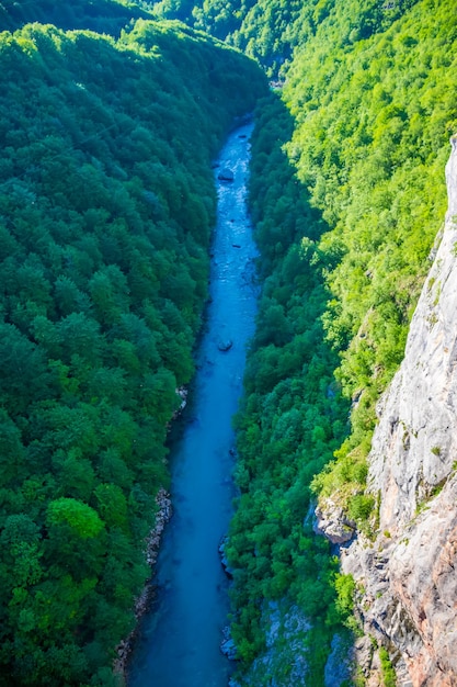 Il fiume veloce Tara scorre sul fondo del canyon.