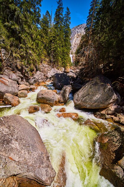 Il fiume Yosemite con le cascate primaverili in lontananza