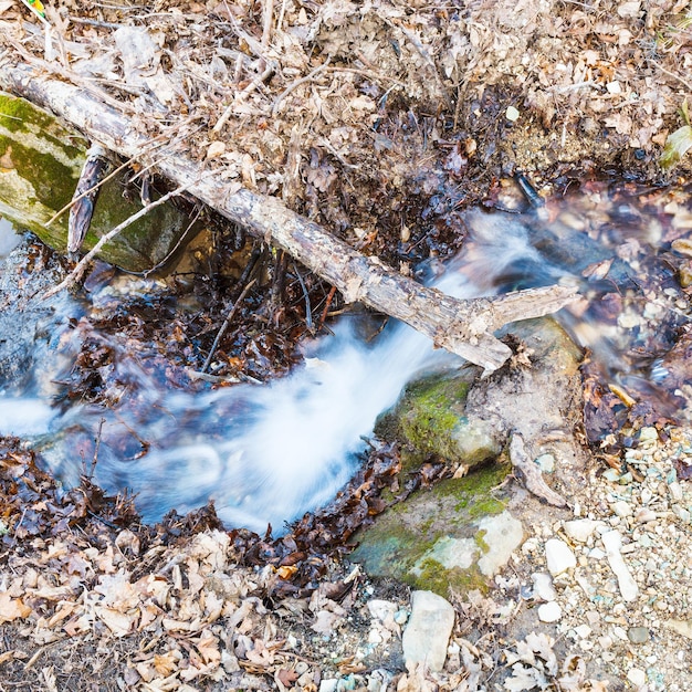 Il flusso scorre nella montagna del Caucaso