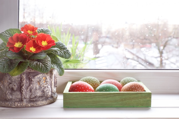 Il fondo della primavera con la primaverina rossa fiorisce in vaso e le uova di Pasqua sulla finestra con le gocce di pioggia, spazio