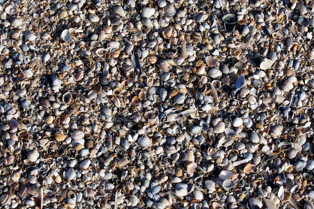 Il fondo delle coperture di Pebble Beach alla piccola struttura osserva molta luce blu bianca del sole della sabbia