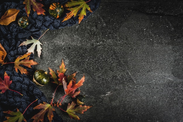 Il fondo di pietra scuro di caduta con le foglie rosse e gialle di autunno riscalda il maglione o la coperta e le piccole zucche, spazio della copia di vista superiore