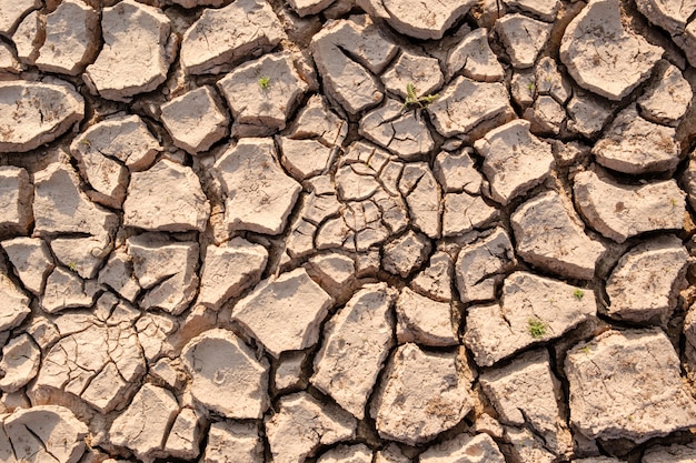 Il fondo di struttura del suolo secco deriva dalla mancanza di acqua. Riscaldamento globale