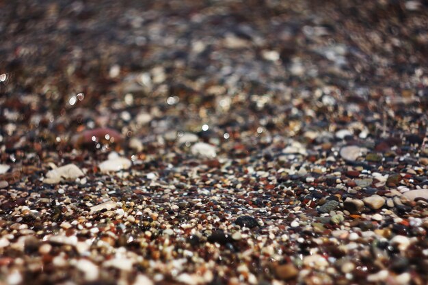 Il fondo sfocato del mare con acqua limpida, lo sfondo di pietre ciottolose