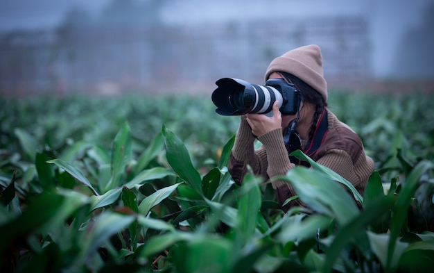 Il fotografo femminile di stocker la sta fotografando attentamente nell'agricoltura