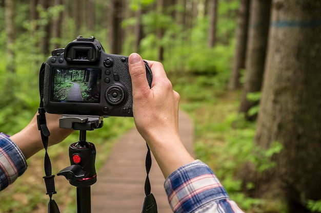 Il fotografo scatta foto della foresta estiva sulla fotocamera DSLR che si trova su un treppiede