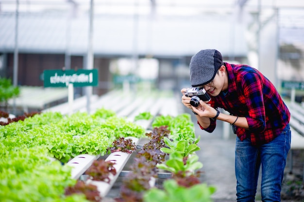 Il fotografo sta fotografando felicemente gli appezzamenti di insalata.