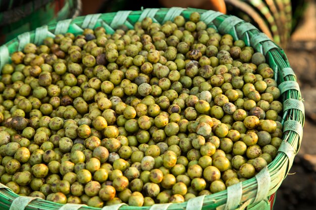 Il frutto di acai dell'Amazzonia. Frutta fresca