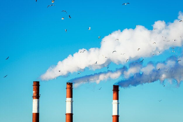 Il fumo dei camini sullo sfondo dei sistemi di riscaldamento del cielo blu