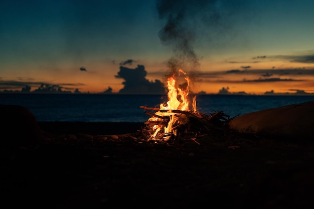 Il fuoco ha acceso la sua luce illumina la natura