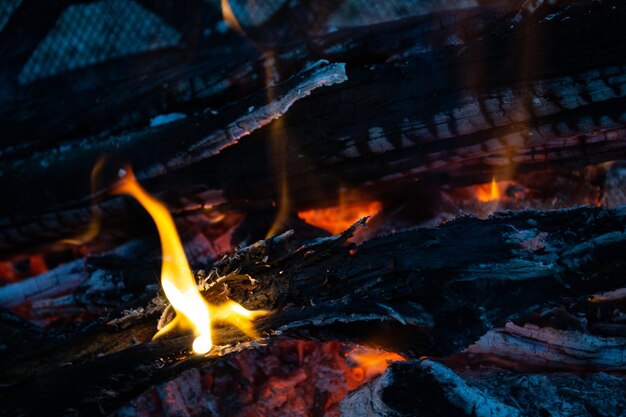 Il fuoco notturno fiammeggia il falò dei carboni