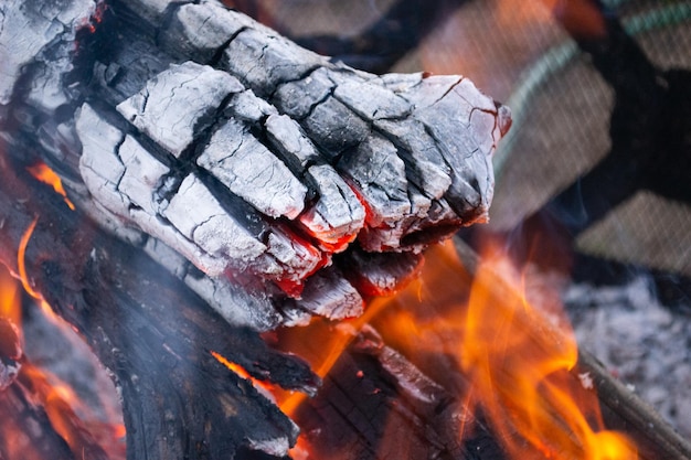 Il fuoco notturno fiammeggia il falò dei carboni