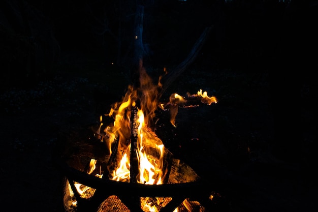 Il fuoco notturno fiammeggia il falò dei carboni